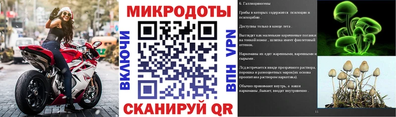 Псилоцибиновые грибы Magic Shrooms  кракен ссылки  Курлово 